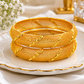 Elegant Golden Plated Bangles 02 pcs