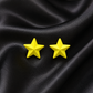 Sunny Star Stud Earrings